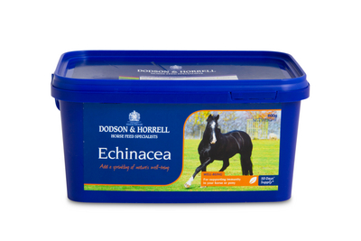 D&H Echinacea / Auringonhattu 1 kg